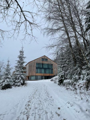 ALPINA Mountain View Apartment Spindleruv Mlýn